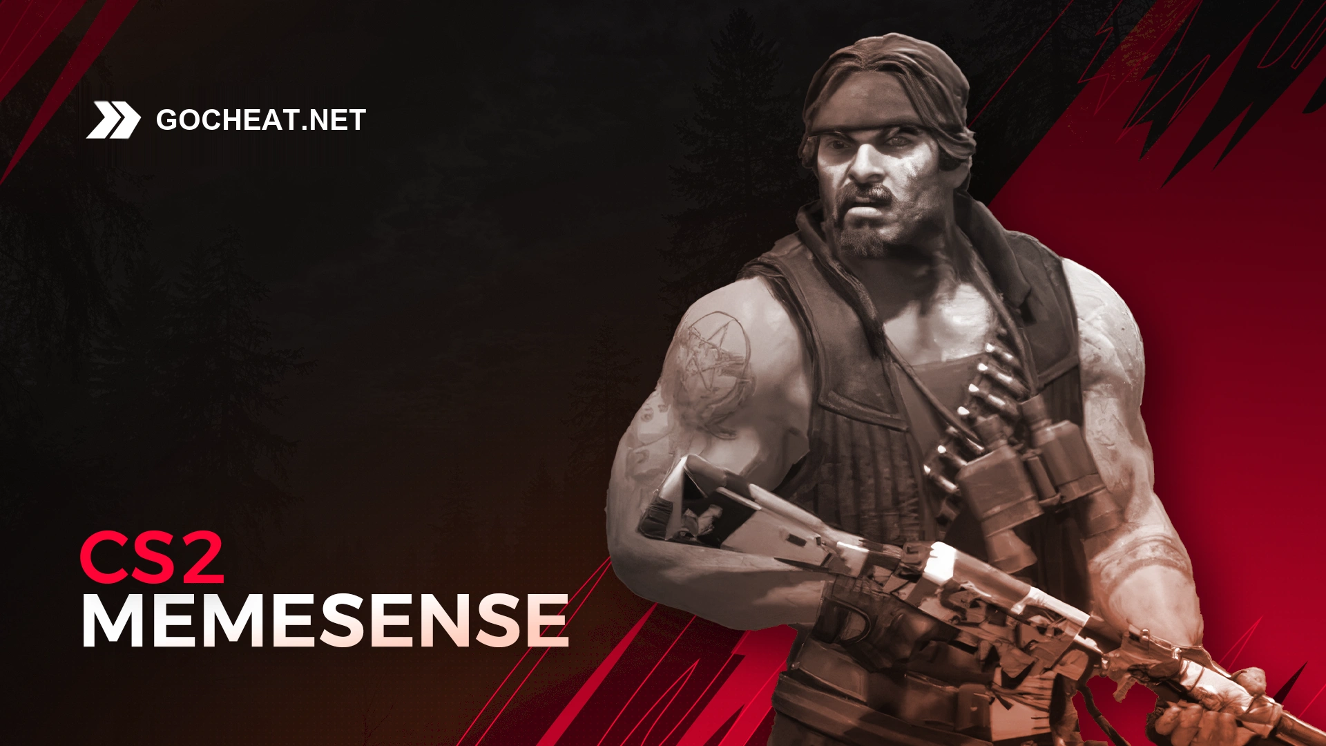 CS2 - Memesense